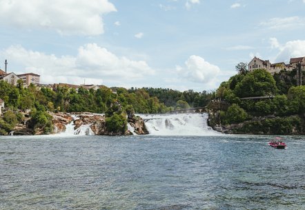 Imposanter Rheinfall bei Schaffhausen
