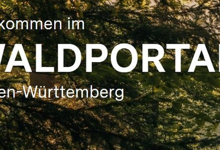 Waldportal BW