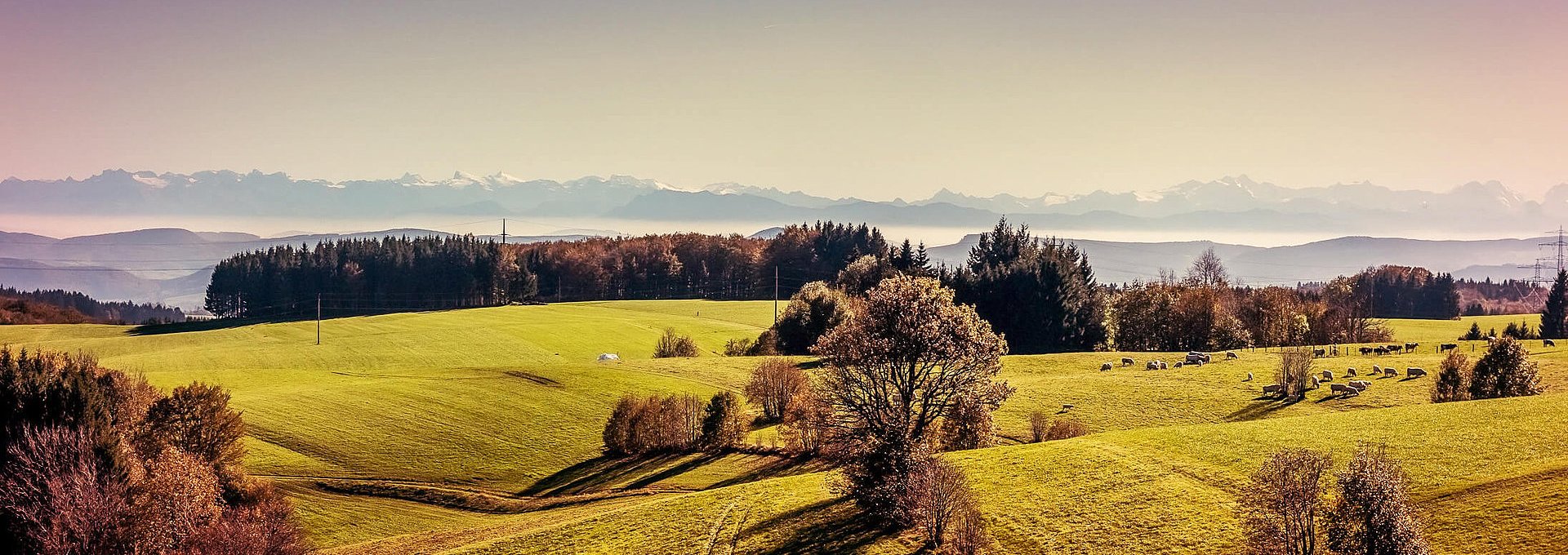 Landschaftsfoto Landkreis Waldshut