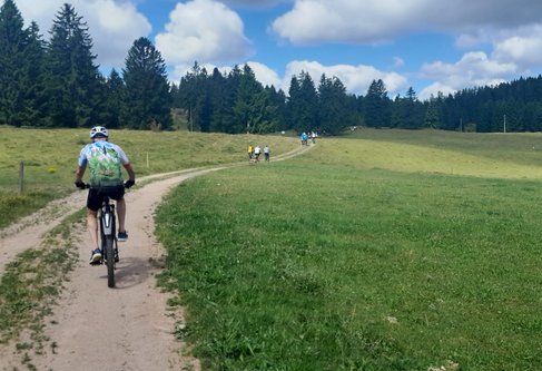 Bilanz der Aktion STADTRADELN im Landkreis Waldshut