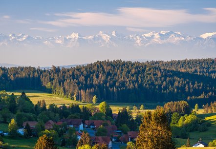 Alpensicht im Hotzenwald