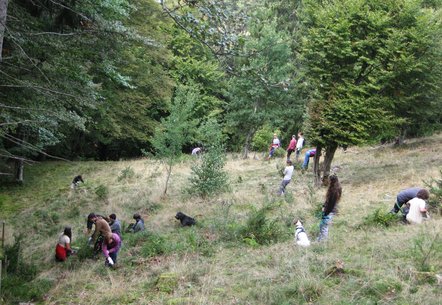 Landschaftspflege