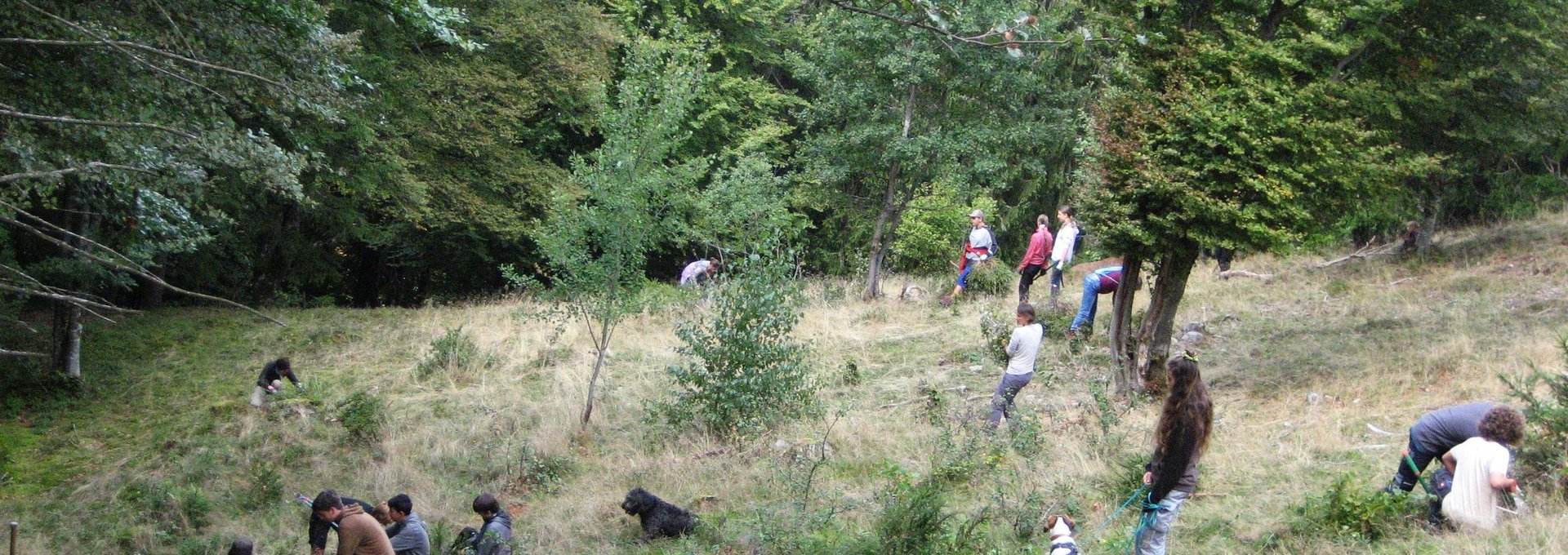 Landschaftspflegetag 2023 in Ibach (Foto:  LEV Waldshut )