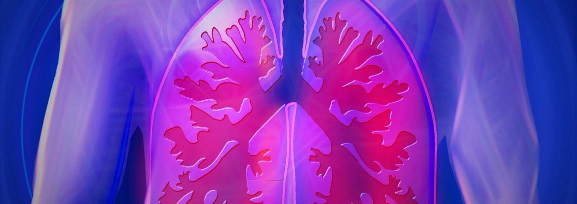 Schema einer Lunge