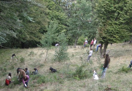 Freiwillige Helfer beim Landschaftspflegetag in Ibach