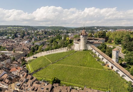 Festung auf einem Berg über der Altstadt von Schaffhausen