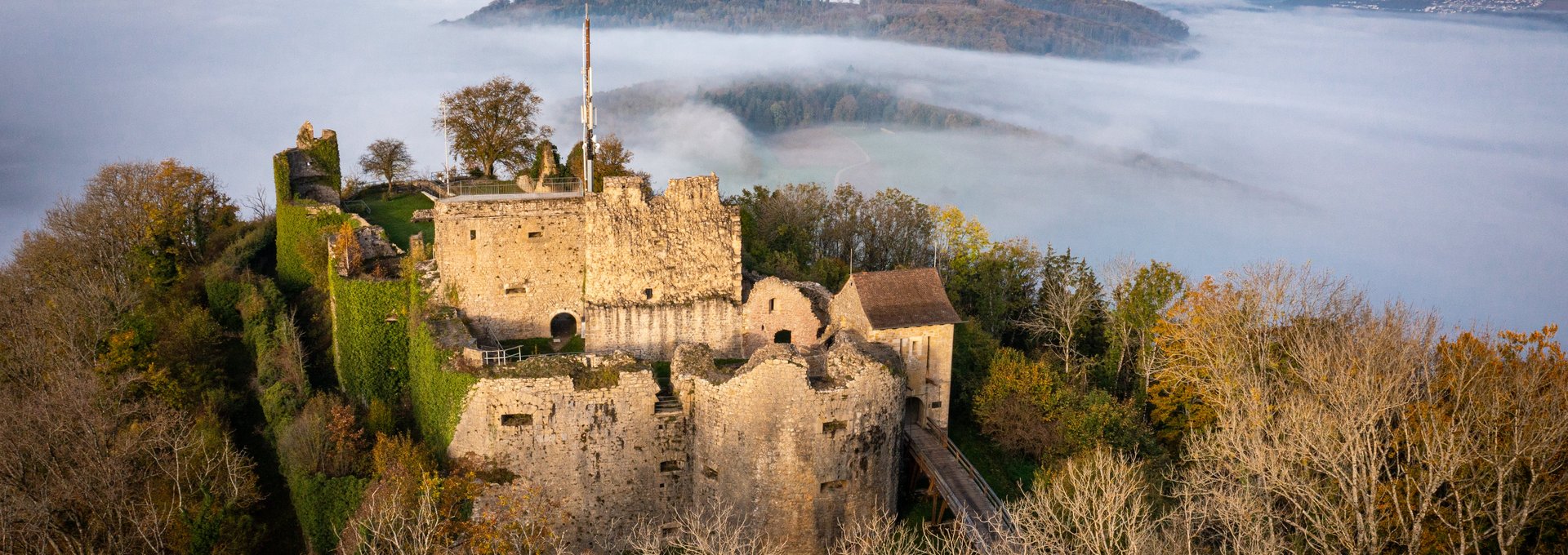 Die Küssaburg im Nebel, Herbst