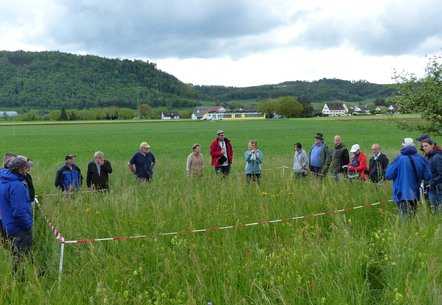 Infoveranstaltung zu Offenlandbewirtschaftung und Naturschutz in Küssaberg-Reckingen