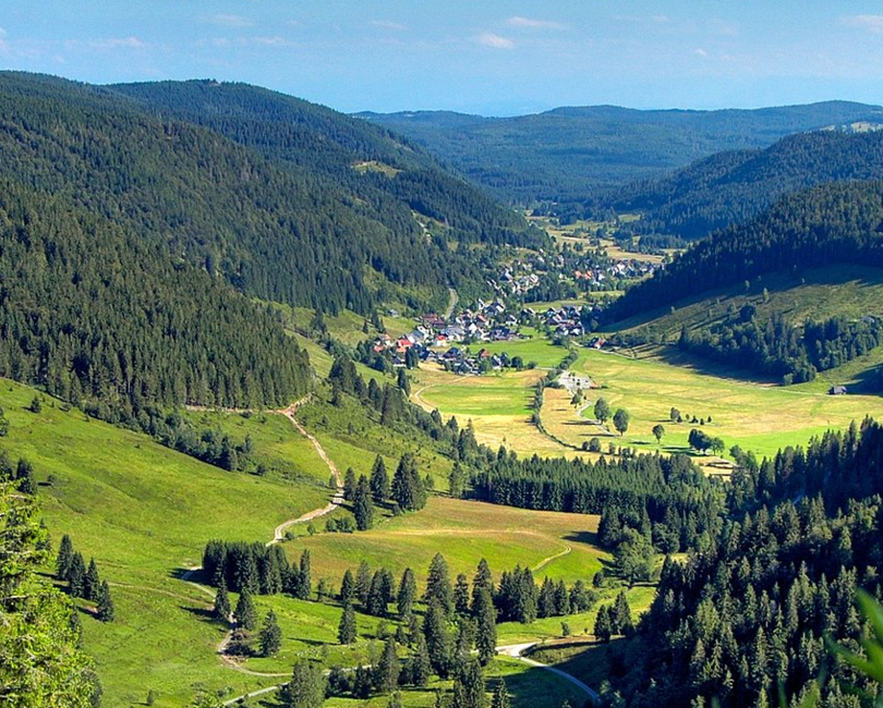 Ausblick Schwarzwald
