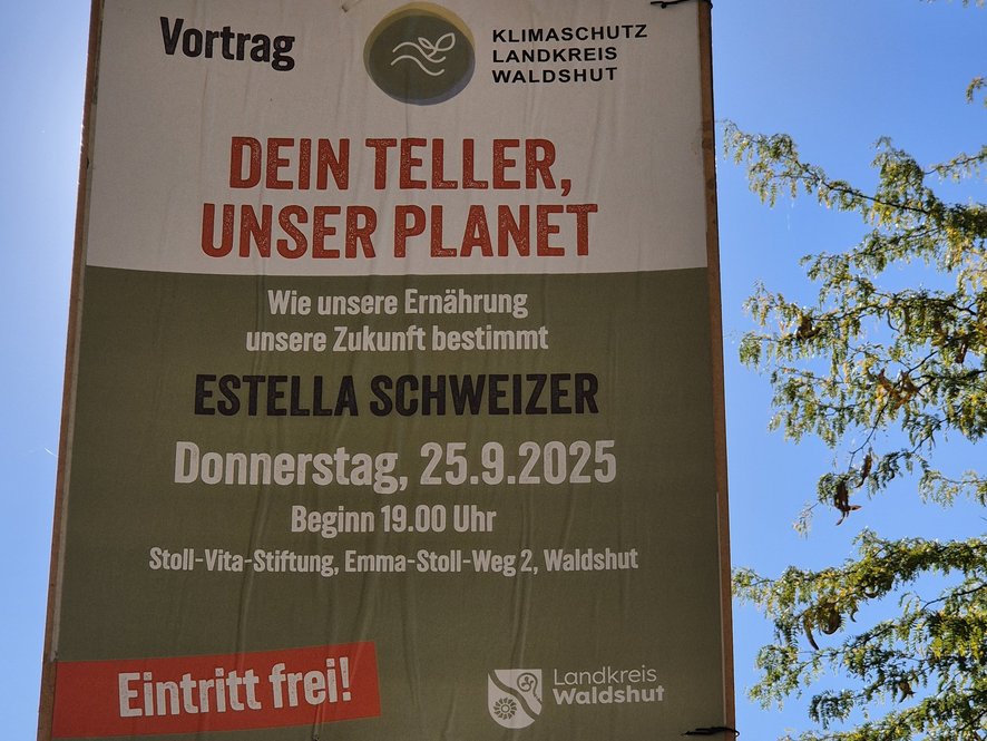 Plakat Vortrag Estella Schweizer
