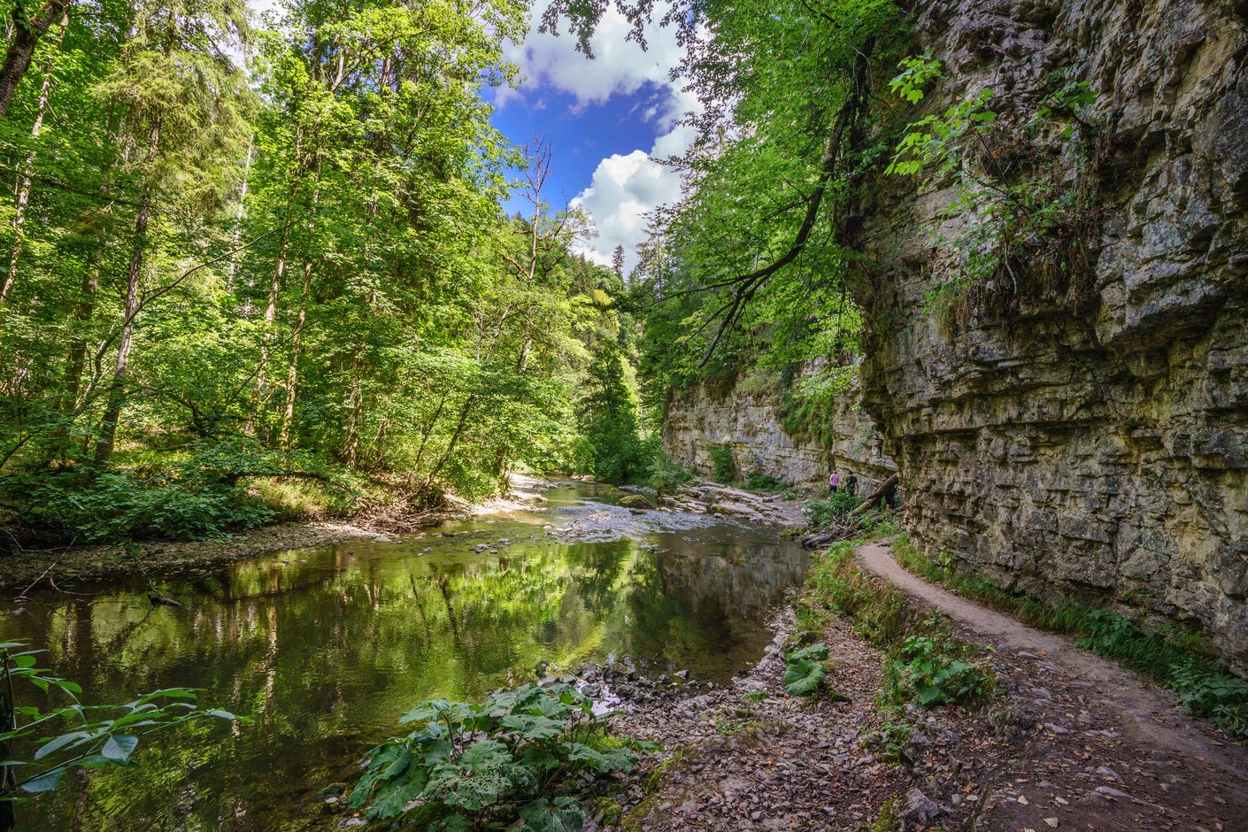 Wutachschlucht Wutachschlucht